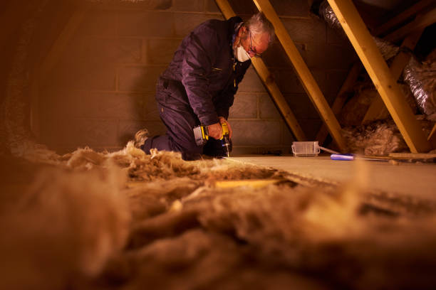 Best Basement Insulation  in Indian Shores, FL